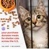 image:imageiHeartCats Bone Broth for Cats  Bone Broth amp Mushroom Gold Powder Supplement for Immune System Support Improved Mobility amp Flexibility and Natural Detox  Turkey Tail Mushroom for Cats