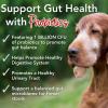 image:imageiHeartDogs 24in1 Senior Multivitamin Daily Total Health Support Powder with Probiotics Omega3 Glucosamine Mushrooms amp Bone Broth 60 Servings