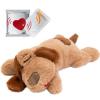 image:imageiHeartDogs Heartbeat Puppy Toy  Comfort Cuddler Pillow  Dog Anxiety Toy