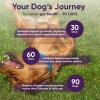 image:imageiHeartDogs 3in1 Probiotic for Dogs with Pumpkin for Improved Digestion amp Gut Health  Dog Probiotics and Digestive Enzymes 90 Count