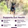 image:imageiHeartDogs 3in1 Probiotic for Dogs with Pumpkin for Improved Digestion amp Gut Health  Dog Probiotics and Digestive Enzymes 90 Count