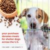 image:imageiHeartDogs 3in1 Probiotic for Dogs with Pumpkin for Improved Digestion amp Gut Health  Dog Probiotics and Digestive Enzymes 90 Count