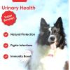 image:imageiHeartDogs Extra Strength Urinary Bladder amp Kidney Support for Dogs  Cranberry DMannose amp Echinacea Helps Maintain Urinary Tract Health Strengthens Weak amp Incontinent Bladder