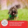 image:imageiHeartDogs Extra Strength Urinary Bladder amp Kidney Support for Dogs  Cranberry DMannose amp Echinacea Helps Maintain Urinary Tract Health Strengthens Weak amp Incontinent Bladder