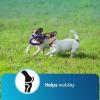 image:imageiHeartDogs Hemp Calming amp Mobility Chews for Dogs  Dog Anxiety Relief Bites with Hemp  Bacon Flavored Dog Calming Treats for Anxiety Stress amp Joint Movement