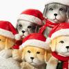 image:imageiHeartDogs Santas Rescue Sleigh Christmas Dog Figurine Helps Feed Shelter Dogs in Need