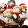 image:imageiHeartDogs Santas Rescue Sleigh Christmas Dog Figurine Helps Feed Shelter Dogs in Need