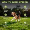 image:imageiHeartDogs Super Greens for Dogs with Broccoli Sprouts amp Spirulina Powder  Seasonal Allergy amp Immune Support Powder  Vitamins Antioxidants amp Minerals Supplement for Dogs