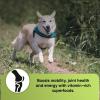 image:imageiHeartDogs Super Greens for Dogs with Broccoli Sprouts amp Spirulina Powder  Seasonal Allergy amp Immune Support Powder  Vitamins Antioxidants amp Minerals Supplement for Dogs