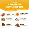 image:imageiHeartDogs Turkey Tail Mushroom for Dogs for Lumps Bumps amp Lipomas with Bone Broth and 6 Mushroom Blend Powder